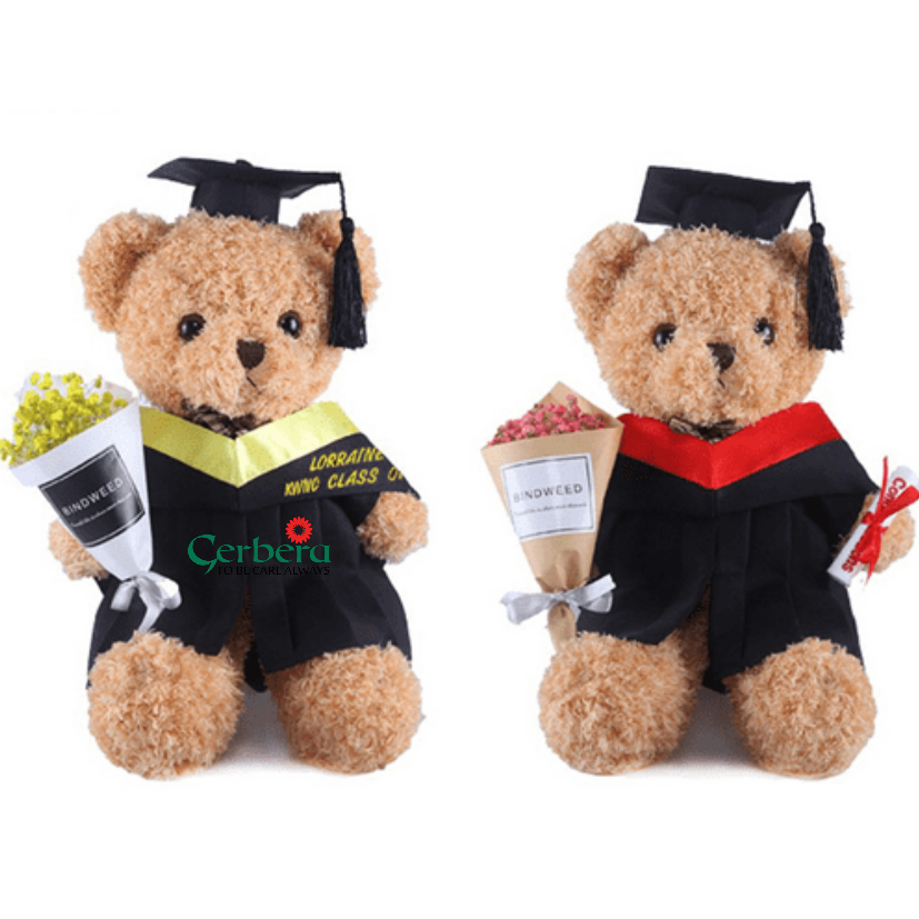 Gấu tốt nghiệp tại TPHCM
