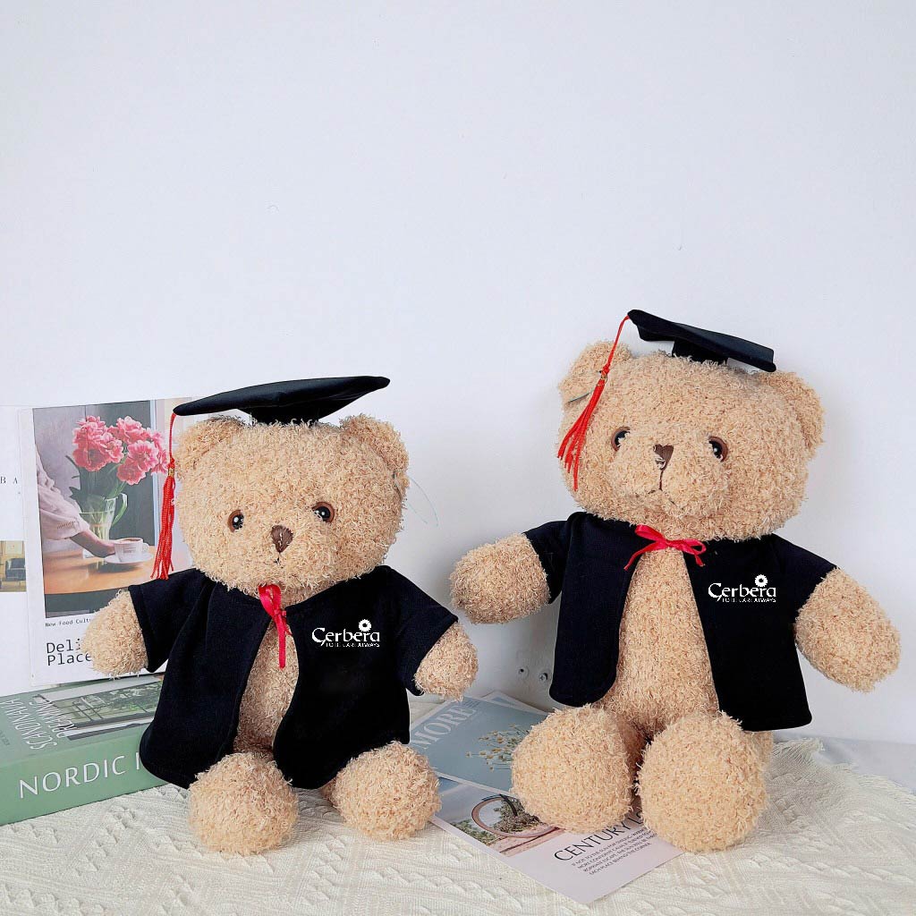Gấu bông tốt nghiệp Gerbera