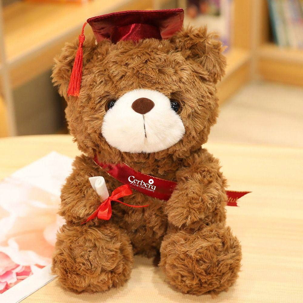 Gấu bông tốt nghiệp GERBERA