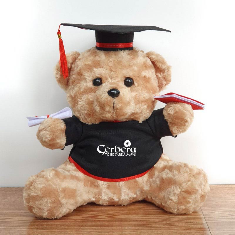 Gấu bông tốt nghiệp GERBERA