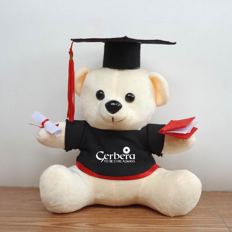 Gấu bông tốt nghiệp Gerbera